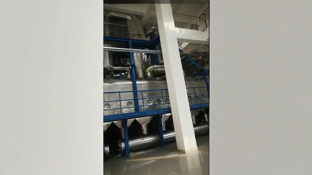 1tph Mycose Project In China. Fluid Bed Dryer System. Functional Sugar Project