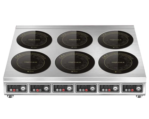6-Burner Induction Cooktop