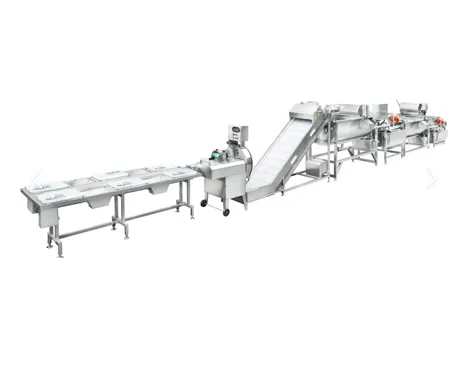 Continuous Vegetable Washer