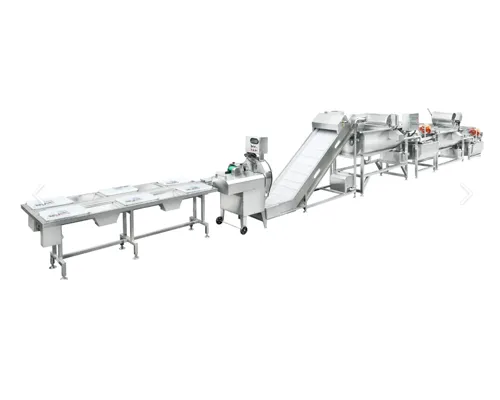 Continuous Vegetable Washer