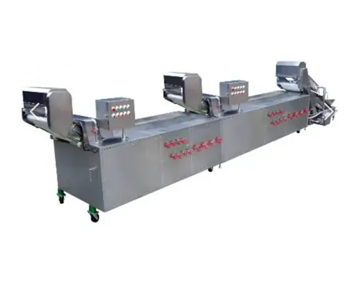 Continuous Vegetable Washer