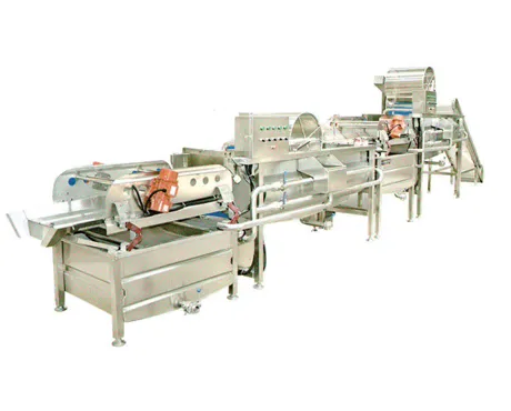 Vegetable Vortex Cleaning Machine