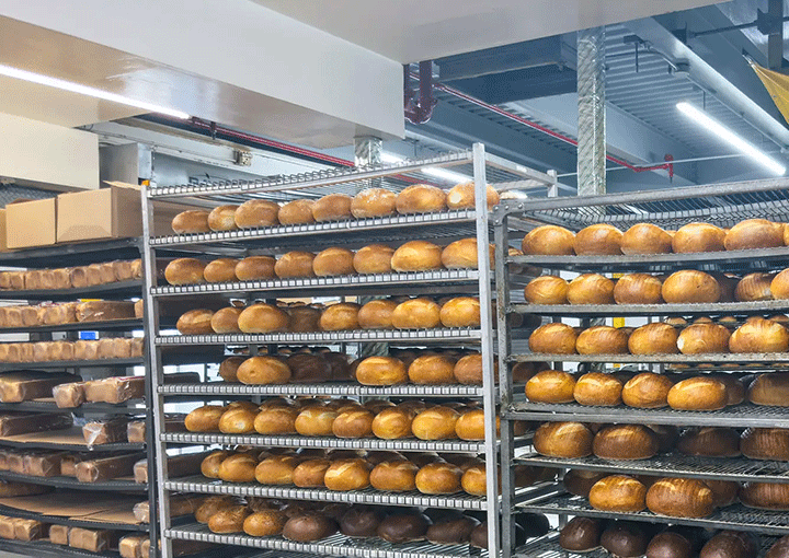 bread-making-machine-solution-provide-by-hongmao-1.png bread-making-machine-solution-provide-by-hongmao-1.png