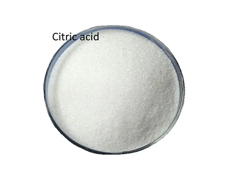 Citric Acid Plant