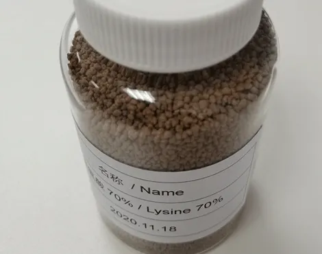 Lysine Production Line