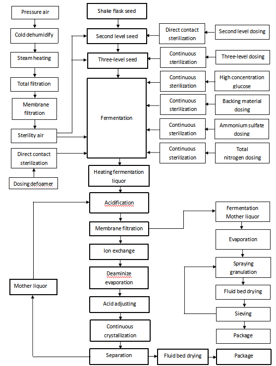 lysine-production-line-1.png