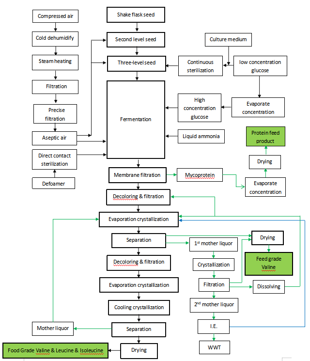 valine-leucine-isoleucine-production-plant.png